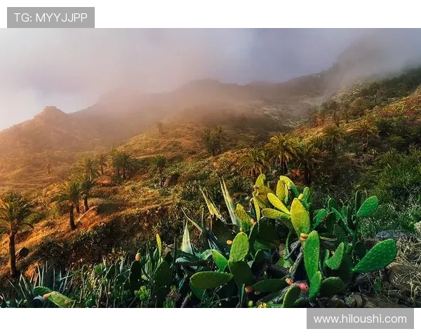 李秀英独家分享极限运动体验与心得体会助你突破自我极限