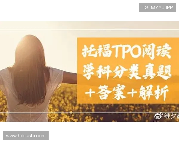 独家解析V5灵活性优势与其他平台的全面对比分析